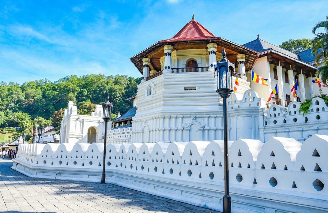 Day Tour Kandy